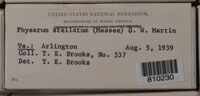 Image Associated With the Occurence